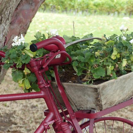 L'Alambic De L'Estuaire Bed & Breakfast Saint-Fort-sur-Gironde ภายนอก รูปภาพ