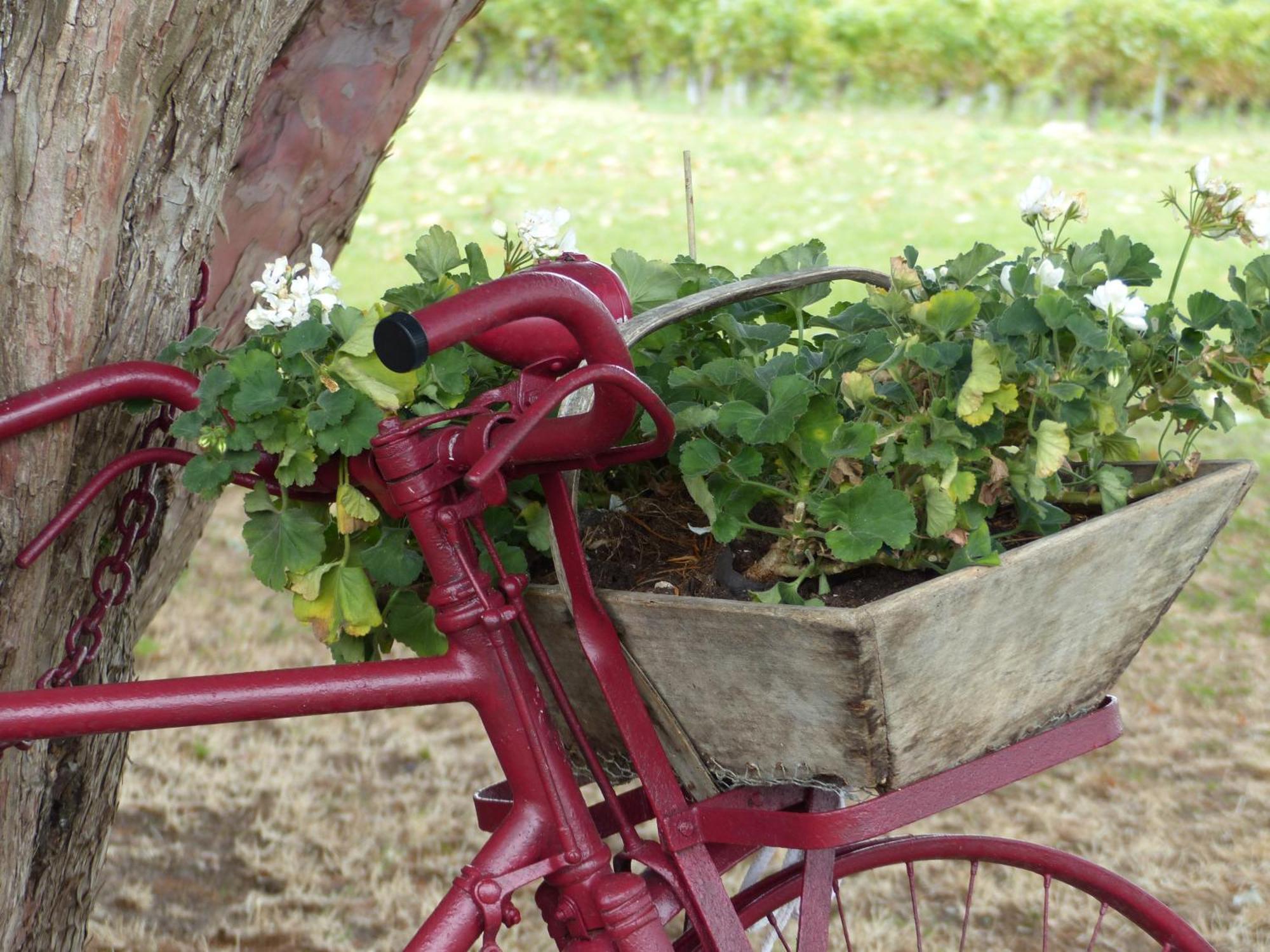 L'Alambic De L'Estuaire Bed & Breakfast Saint-Fort-sur-Gironde ภายนอก รูปภาพ